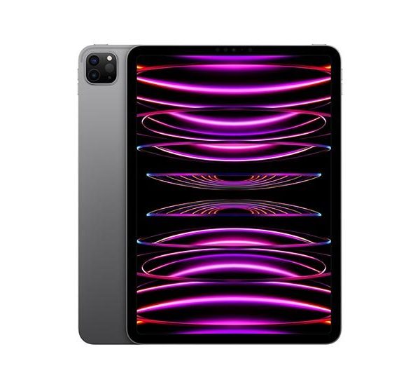 APPLE IPAD PRO 11" / CHIP M2 / 256GB / WIFI / 4GEN / GRIS ESPACIAL