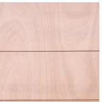 Puerta Terciado Huilo con Perforación - Imagen 3